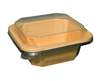 Салатник крафтовий квадратний 750 мл 152х152х54 мм LF, 50 шт (НАБОР №1) - фото